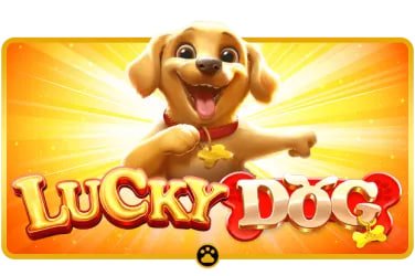 ভিআইপি ক্লাব অভিজ্ঞতা ও নিয়ম তুলনা